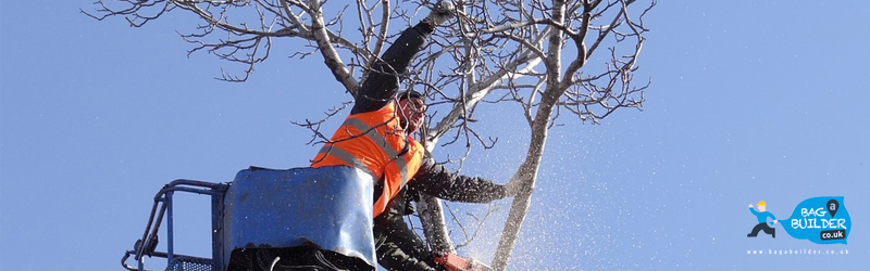 5 Things to Explore With the a Tree Surgeon